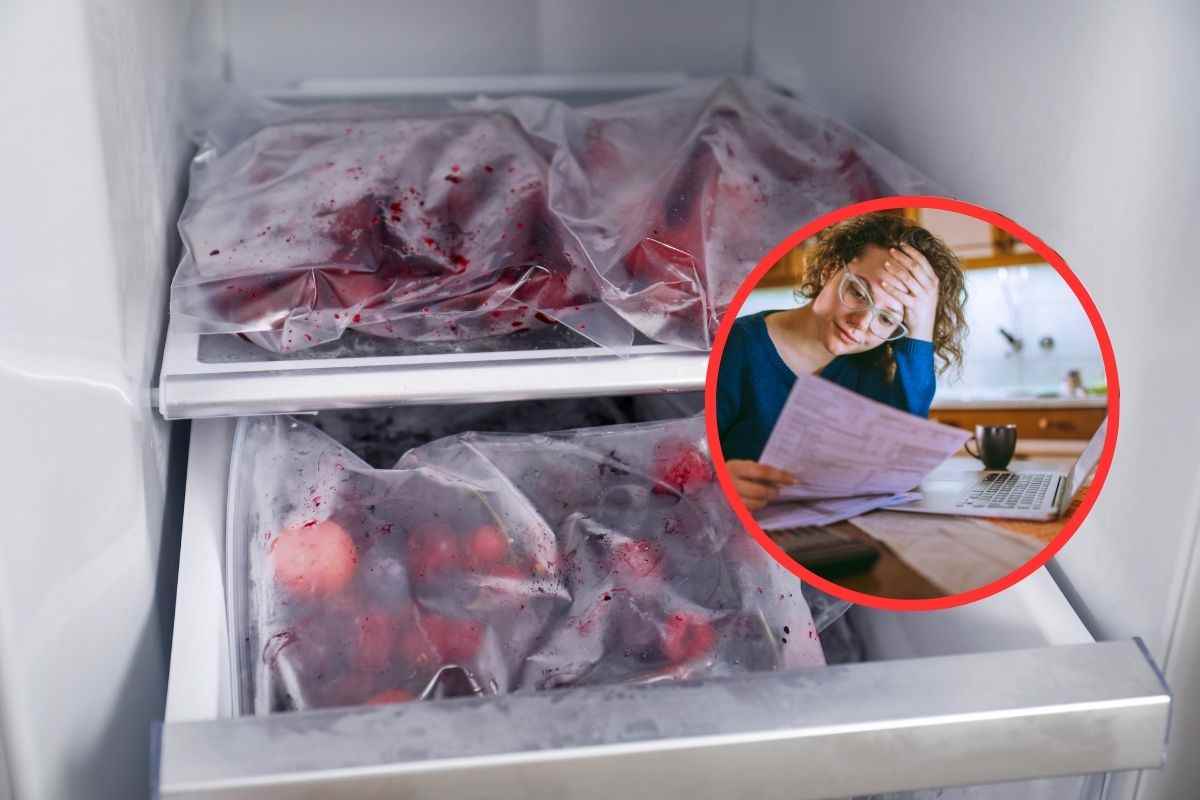 sbrina il freezer se non vuoi che la bolletta si alzi